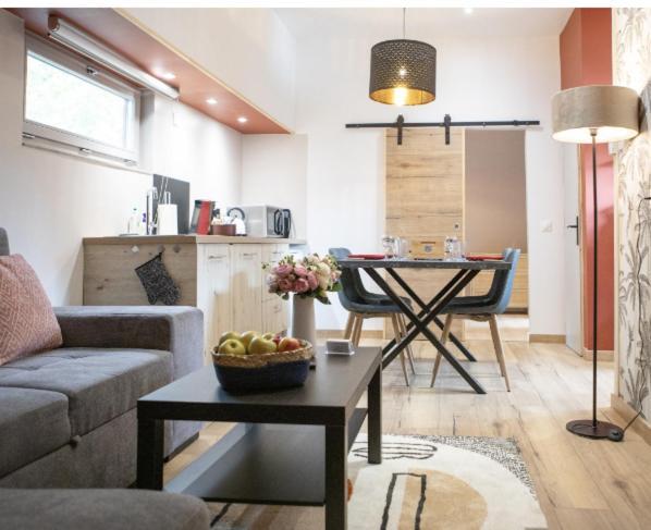 La Peniche De Fabrice Avec Jacuzzi Privatif Apartment Strasbourg Cameră foto